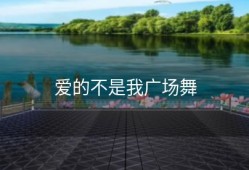 爱的不是我广场舞