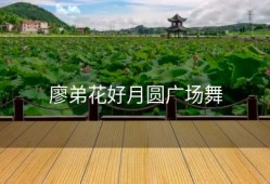 廖弟花好月圆广场舞