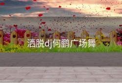 洒脱dj何鹏广场舞