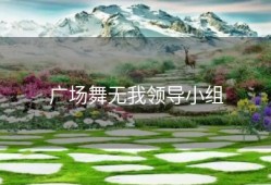 广场舞无我领导小组