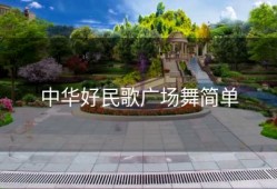 中华好民歌广场舞简单