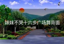 妹妹不哭十六步广场舞背面