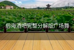 后海酒吧完整分解版广场舞