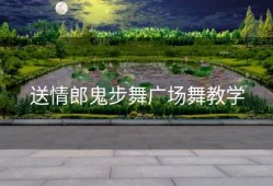 送情郎鬼步舞广场舞教学