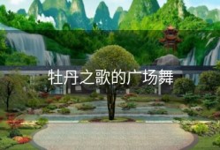 牡丹之歌的广场舞