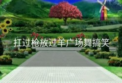 扛过枪放过羊广场舞搞笑