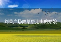 刘荣广场舞草原走出的姑娘