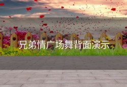 兄弟情广场舞背面演示