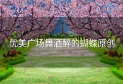 优美广场舞酒醉的蝴蝶原创