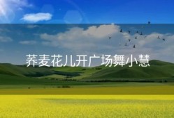荞麦花儿开广场舞小慧