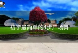 初学最简单的4步广场舞