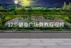 12步健身广场舞教程视频
