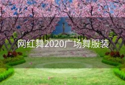 网红舞2020广场舞服装
