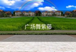广场舞紫藤