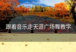 跟着音乐走天涯广场舞教学