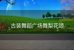 古装舞蹈广场舞梨花颂