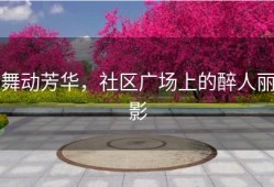 舞动芳华，社区广场上的醉人丽影