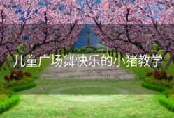 儿童广场舞快乐的小猪教学