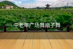 中老年广场舞扇子舞