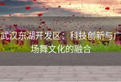武汉东湖开发区：科技创新与广场舞文化的融合