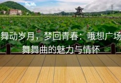 舞动岁月，梦回青春：哦想广场舞舞曲的魅力与情怀
