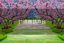 广场舞葫芦丝