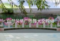 自然风情广场舞大全视频