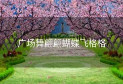 广场舞翩翩蝴蝶飞格格