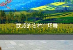 武威的农村广场舞