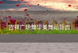 吉祥广场舞华美舞动背面