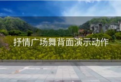 抒情广场舞背面演示动作