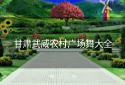 甘肃武威农村广场舞大全