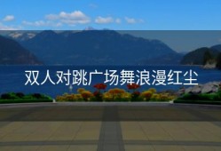 双人对跳广场舞浪漫红尘