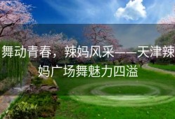 舞动青春，辣妈风采——天津辣妈广场舞魅力四溢