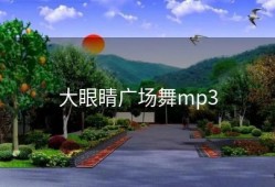 大眼睛广场舞mp3