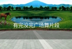 有完没完广场舞片段