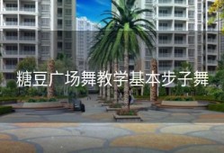 糖豆广场舞教学基本步子舞