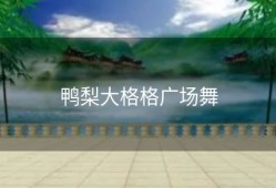 鸭梨大格格广场舞
