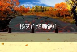 杨艺广场舞锅庄