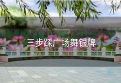 三步踩广场舞银牌