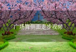 广场舞侧面走步视频