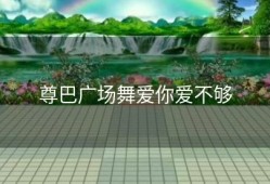 尊巴广场舞爱你爱不够