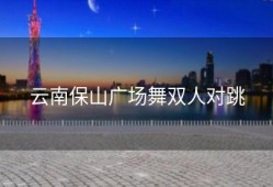 云南保山广场舞双人对跳