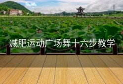 减肥运动广场舞十六步教学