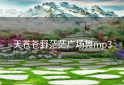 天苍苍野茫茫广场舞mp3