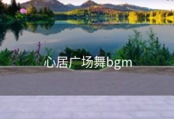 心居广场舞bgm
