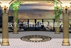 放个广场舞拉萨夜雨图片