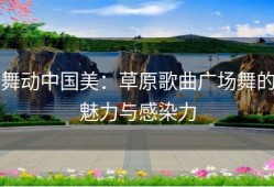 舞动中国美：草原歌曲广场舞的魅力与感染力