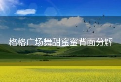 格格广场舞甜蜜蜜背面分解