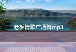 老板情歌广场舞mp3